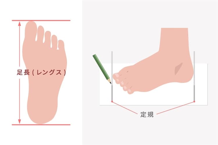 足のサイズはかかとから一番長い指までを測る