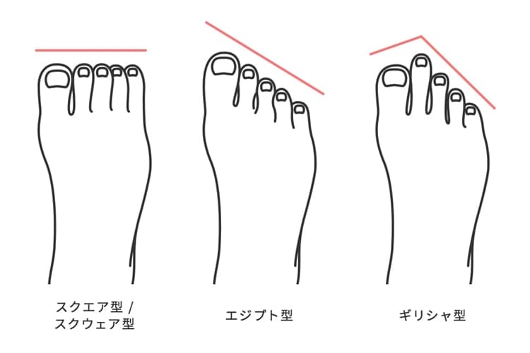 知っているようで知らない足の形