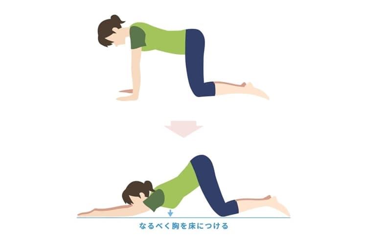 猫の背伸びのポーズ