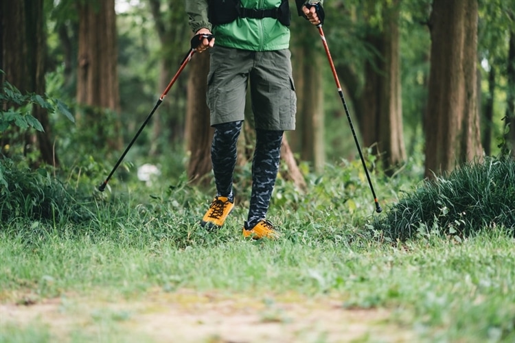 低山登山を楽しむためのポイント