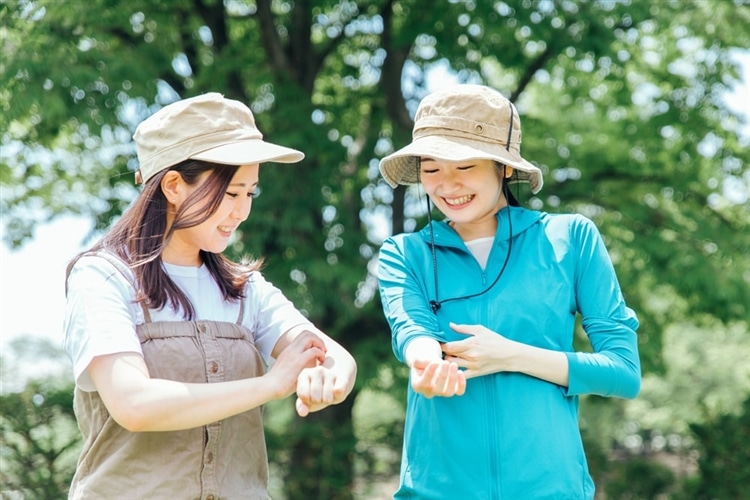 スズメバチに刺されるリスクを減らすコツ